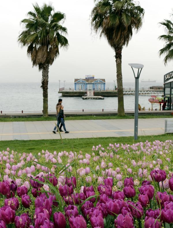 İzmit lalelerle renklendi