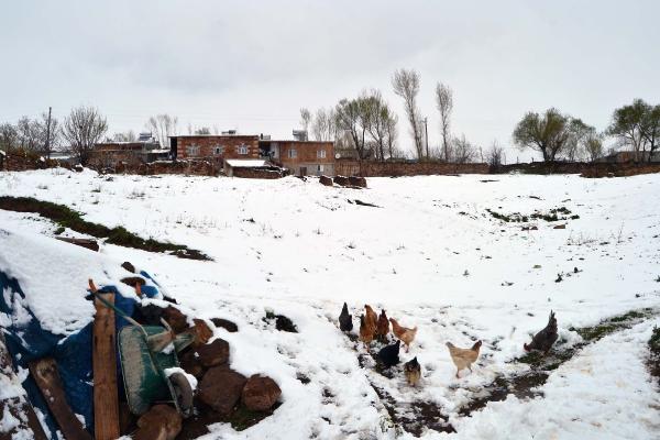 Ahlat'a kar yağdı