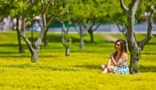 Antalya çiçek açtı