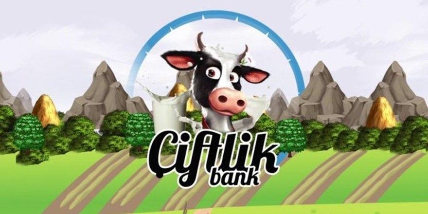  Çiftlikbank'ın yazılımcısı tutuklandı