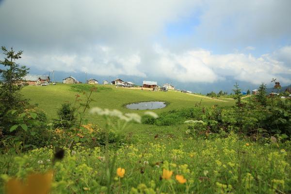 Rize'de bahar güzelliği