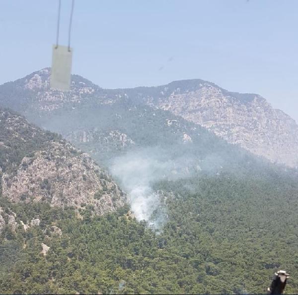 Ula'da orman yangını