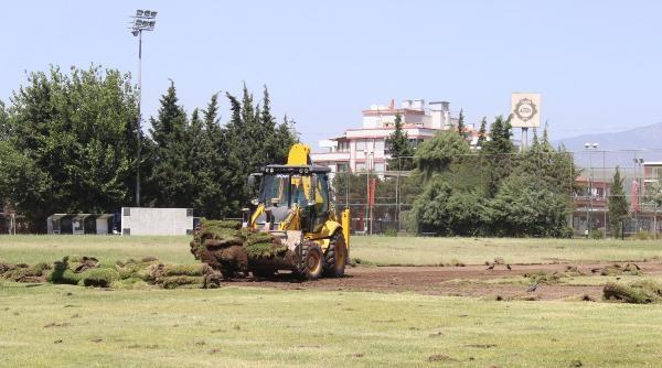 Altay'da sahalar yenileniyor