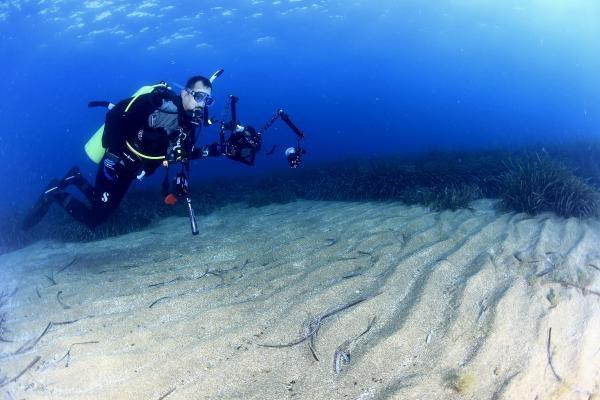 Sualtının ödül avcıları