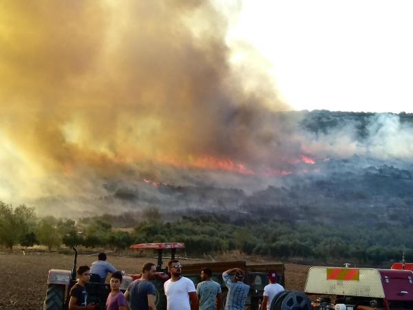 Torbalı'da yangın (1)