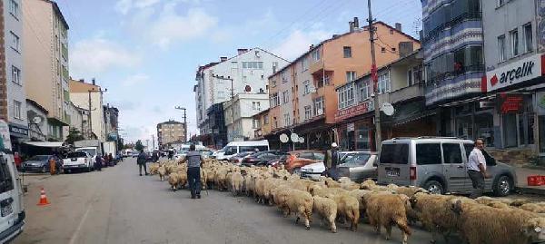 Yayladan dönüş başladı