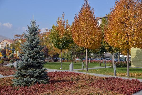 Kırşehir'de sonbahar manzaraları