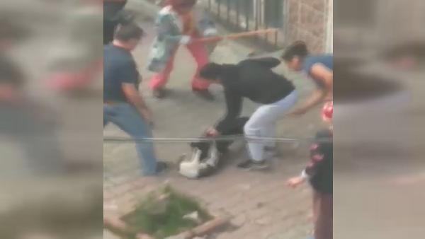 Sultangazi'de pitbull dehşeti 