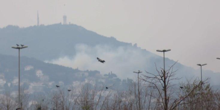 Büyükada'da yangın