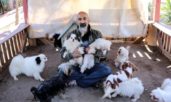 Hayvanseverlere köpek pansiyonu