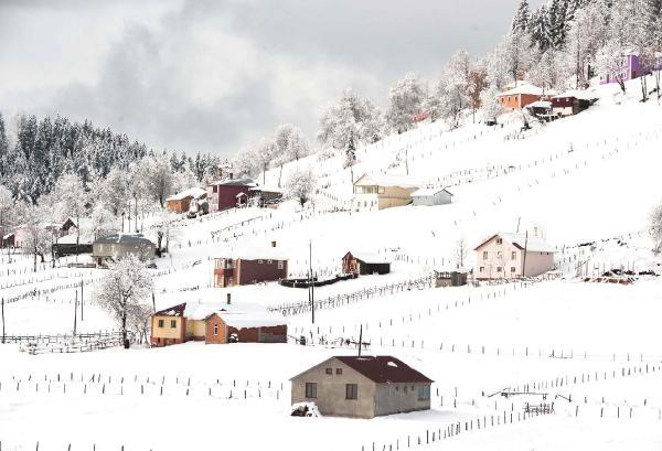 Karadeniz'de kış güzelliği